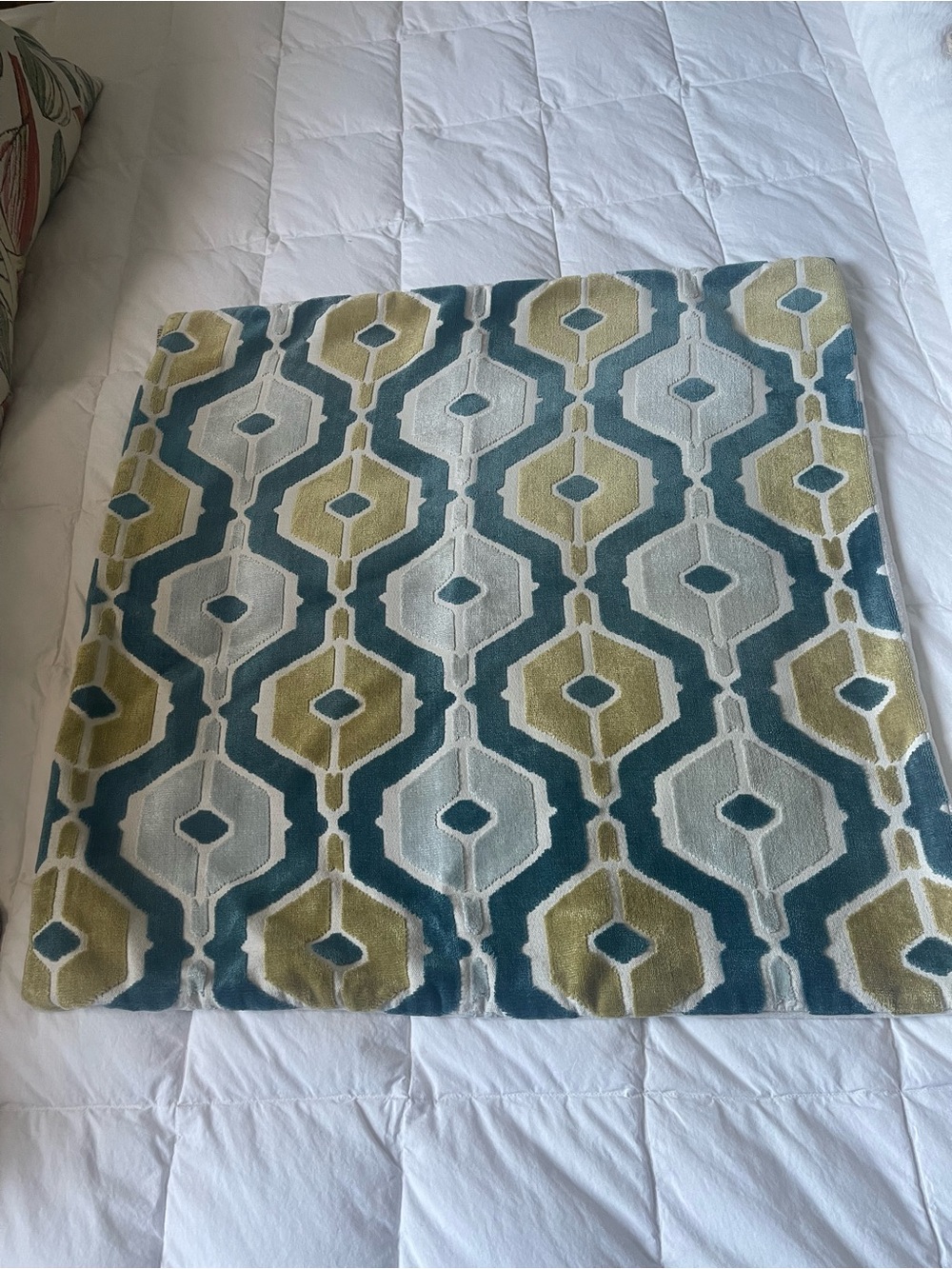 D.V. Kap Home Velvet Pillow Covers with White, Teal and Olive Trim
